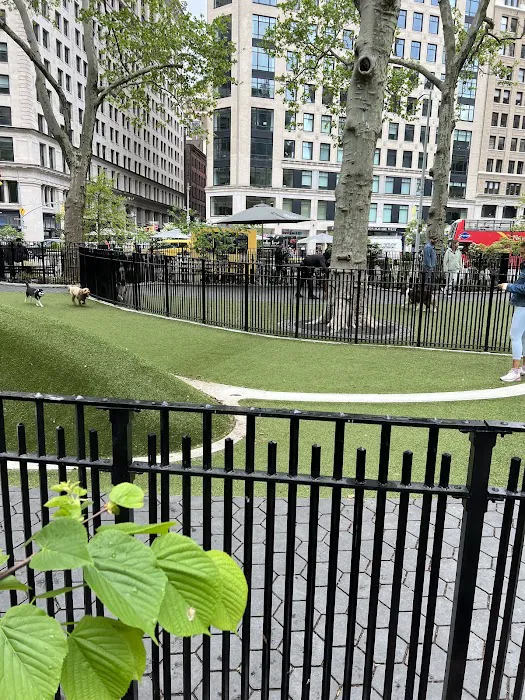 Jemmy's Dog Run 2
