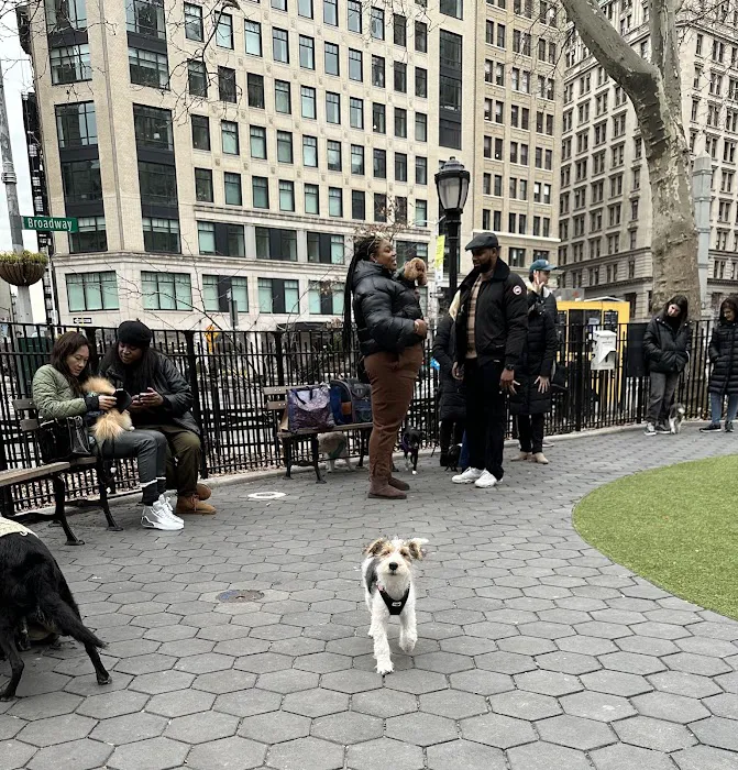 Jemmy's Dog Run 3