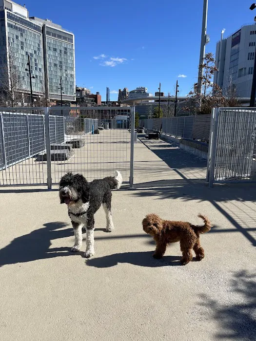Gansevoort Peninsula Small Dog Park 4