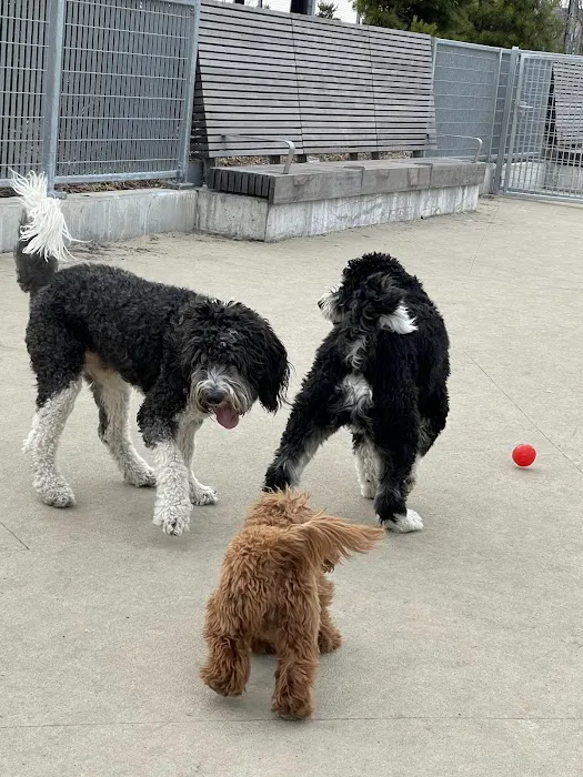 Gansevoort Peninsula Small Dog Park 7