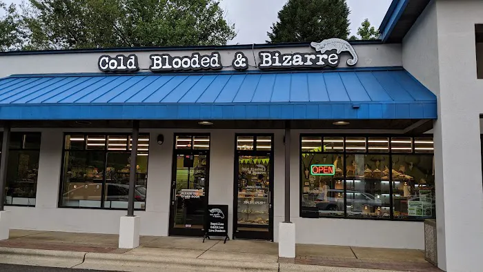 Cold Blooded & Bizarre 3