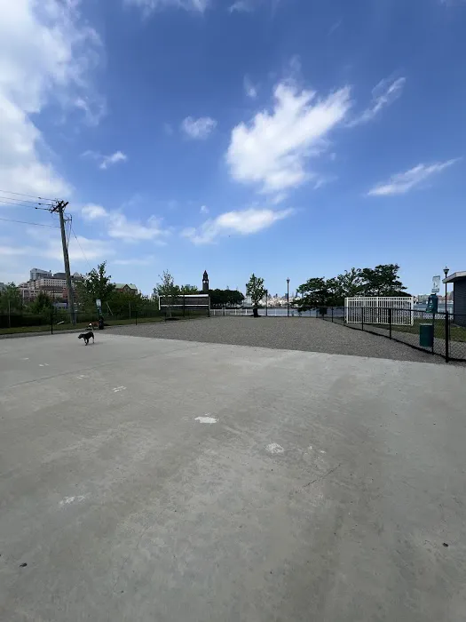 Dog Run 1