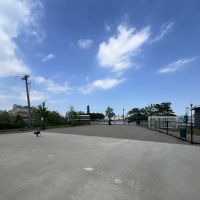 Dog Run ico