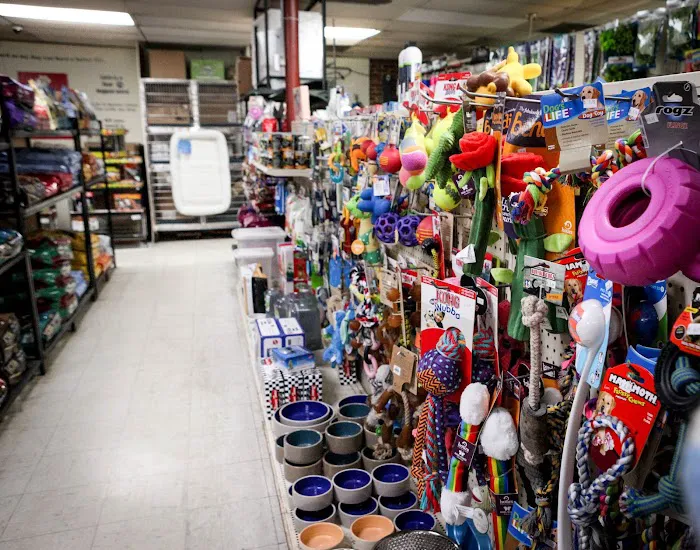 Last Place On Earth Petshop 4