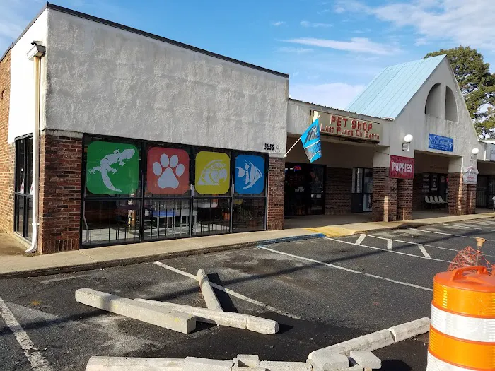 Last Place On Earth Petshop 1