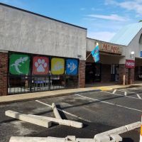 Last Place On Earth Petshop ico