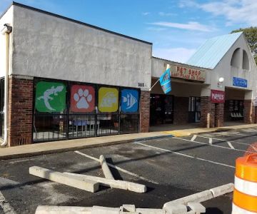 Last Place On Earth Petshop