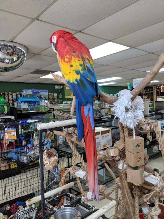 Last Place On Earth Petshop 6