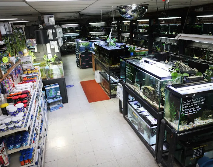 Last Place On Earth Petshop 9