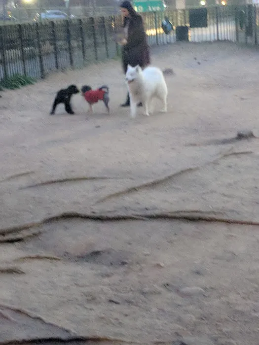 South Slope Dog Run 9