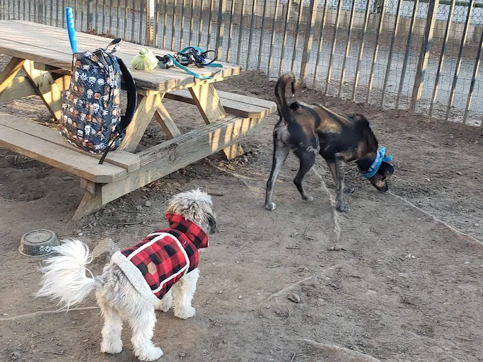 South Slope Dog Run 7