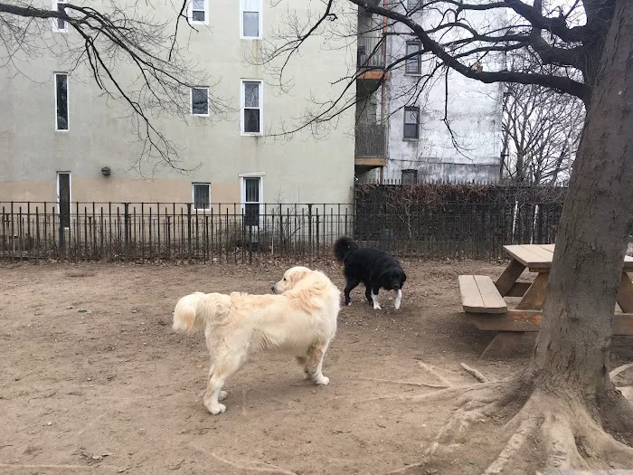 South Slope Dog Run 8