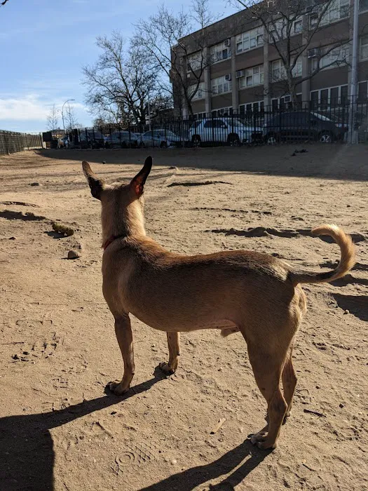 South Slope Dog Run 4