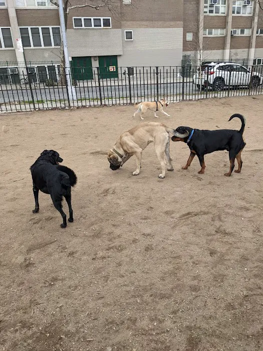 South Slope Dog Run 5