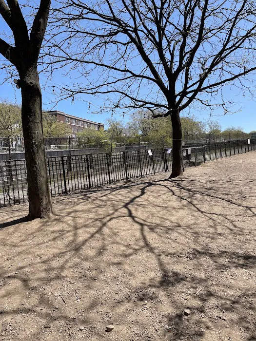 South Slope Dog Run 10