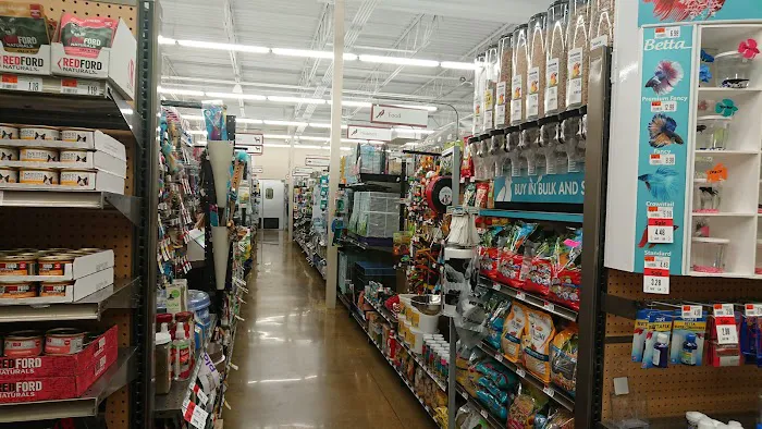 Pet Supplies Plus Charlotte - Sharon 5