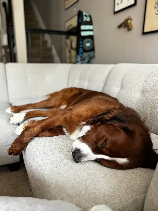 Pet Supplies Plus Charlotte - Sharon 7