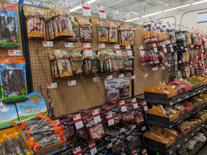 Pet Supplies Plus Charlotte - Sharon 1