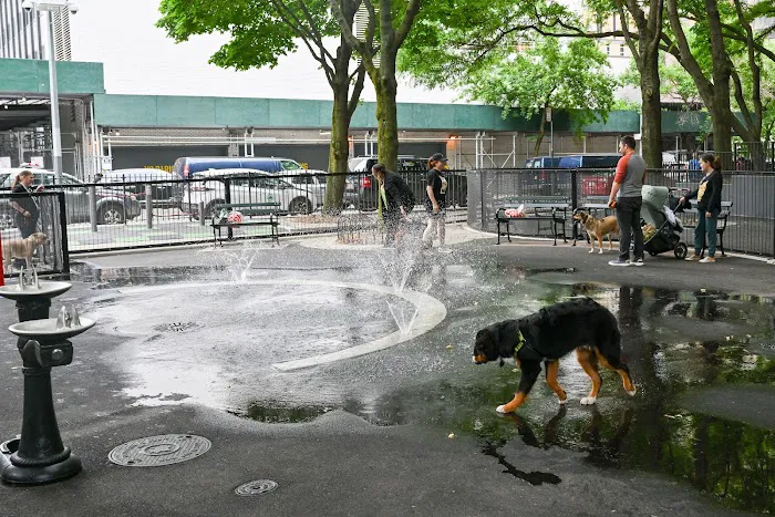 Bellevue South Park Dog Run 5