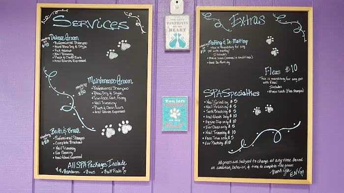 ENV Pet Spa and Grooming 2