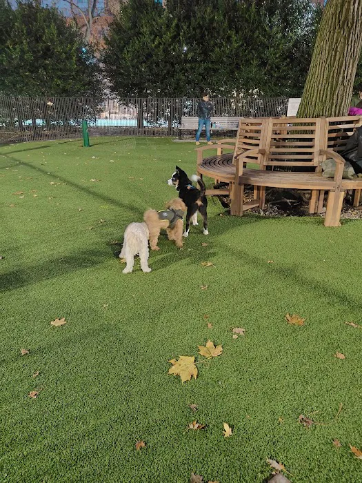 Urban Pups 6