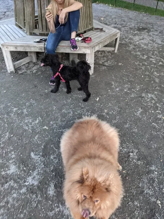 Urban Pups 2