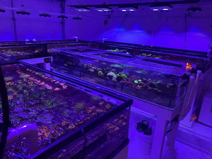 TRSCAquatics 3