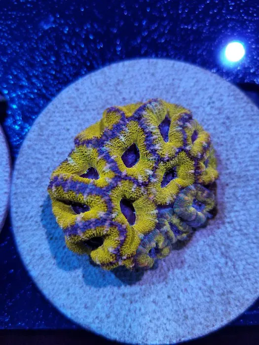 TRSCAquatics 5