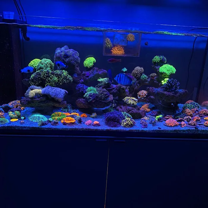 TRSCAquatics 7