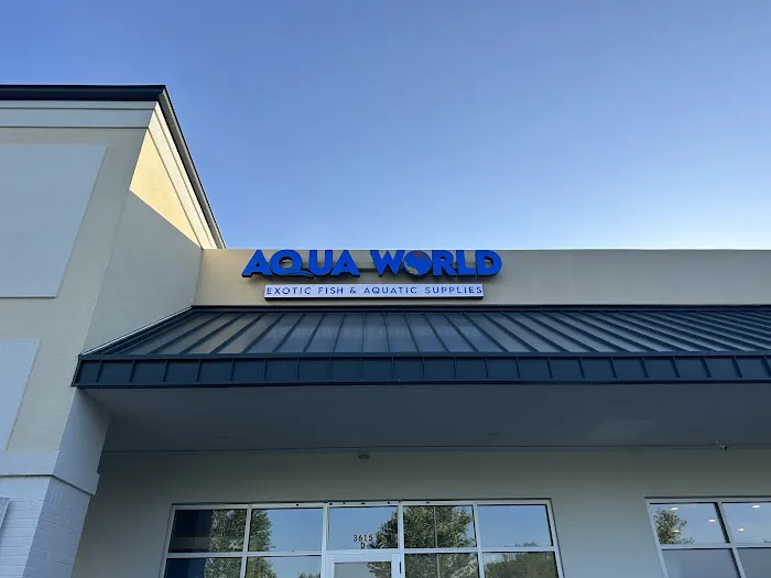 Aqua World 6