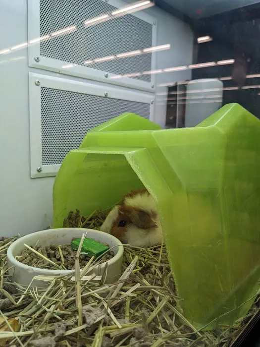 Petco 6