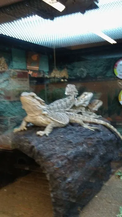 Petco 2