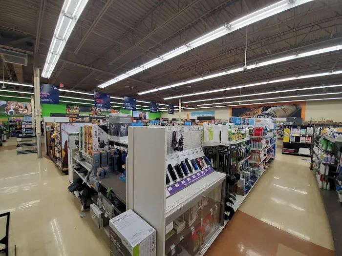 Petco 5