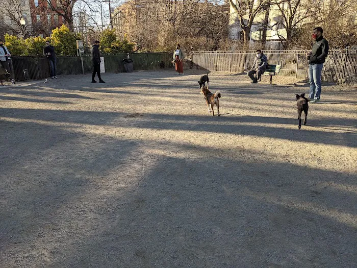 Dog Park 9