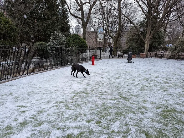Dog Park 7