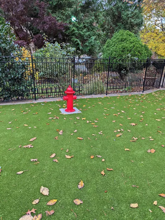 Dog Park 10