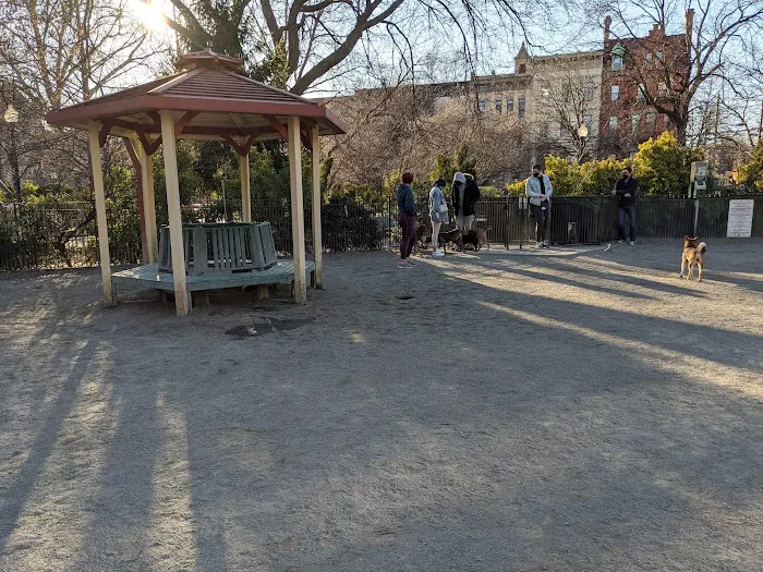 Dog Park 8