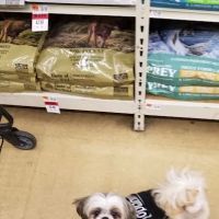 Pet Supplies Plus Charlotte - Pineville Mathews ico