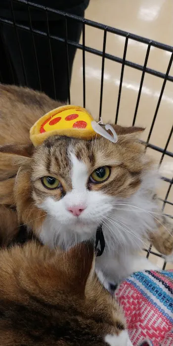 Pet Supplies Plus Charlotte - Pineville Mathews 2