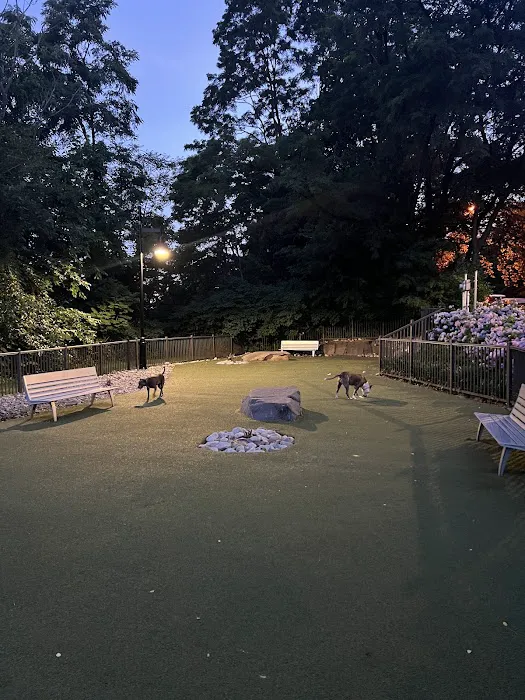 Dog park 3