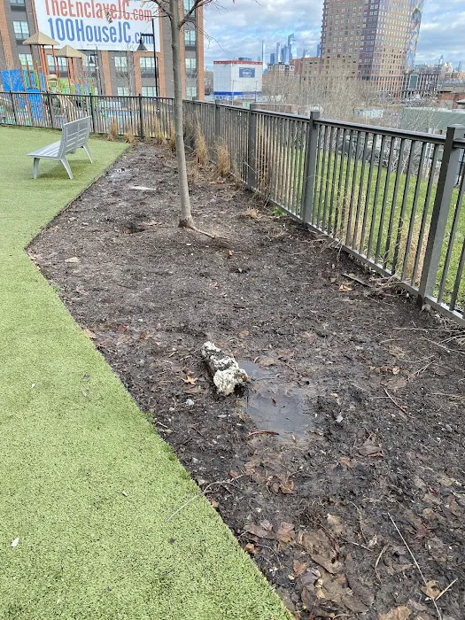 Dog park 5