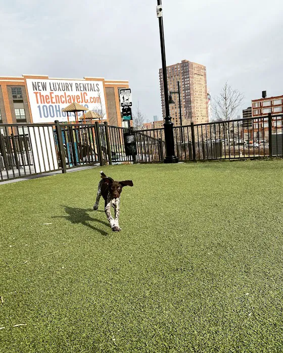 Dog park 2