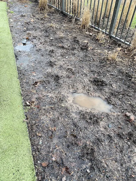 Dog park 8