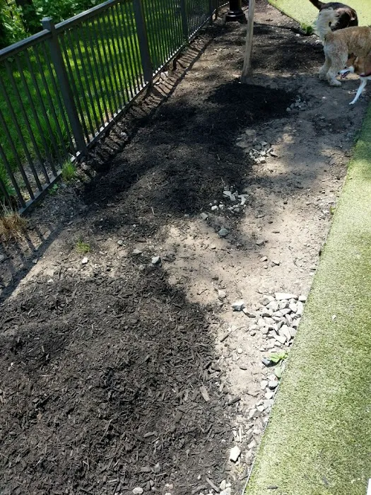 Dog park 6