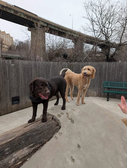 Dog Park 2
