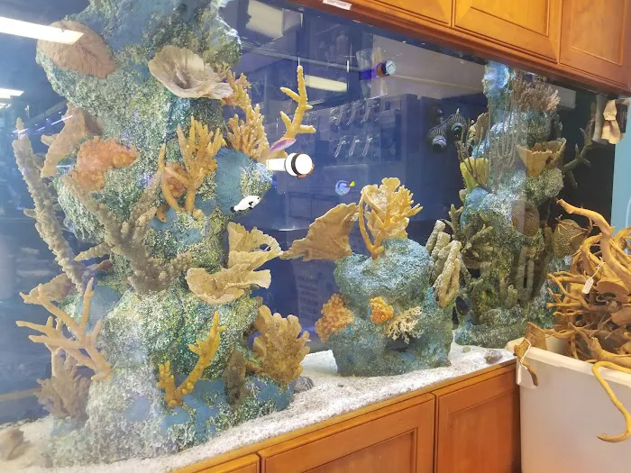 C-MACS Aquarium - CLT 4