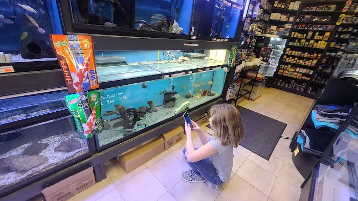 C-MACS Aquarium - CLT 5