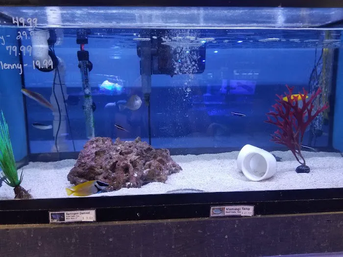 C-MACS Aquarium - CLT 10