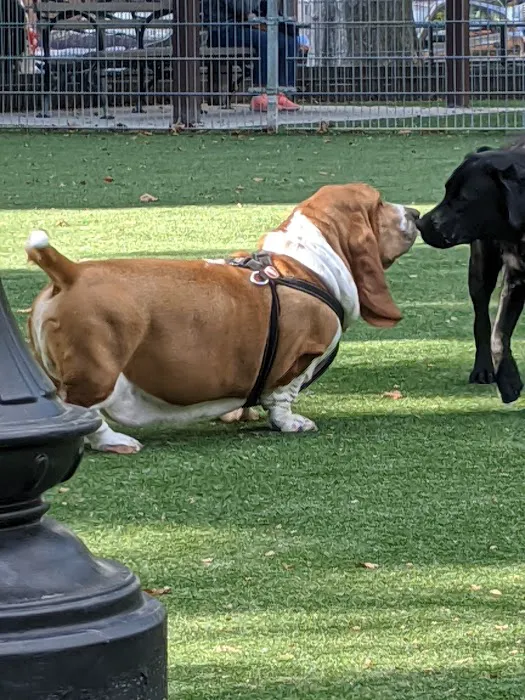Church Square Park Dog Park 3