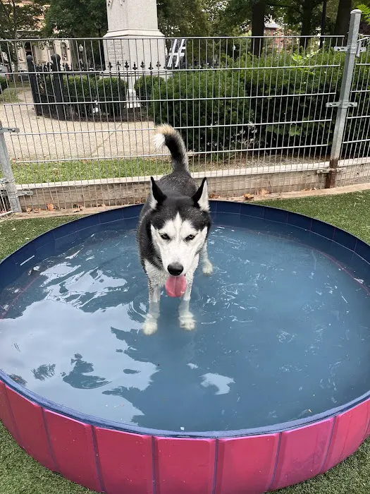 Church Square Park Dog Park 2